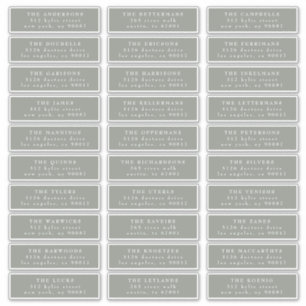 Adesivo Endereço de Convidado Verde do Sage Clássico Indiv