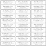 Adesivo Endereço de Nomes de Convidados de Casamento Simpl<br><div class="desc">Composto por simples serifa e moderna tipografia cursiva da escrita. Estes elementos são simples,  elegantes e modernos. Isto tem 30 adesivos. Este foi projetado pelo White Paper Birch Co. exclusivo para Zazzle. Disponível aqui: http://www.zazzle.com/store/whitepaperbirch</div>