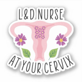 Adesivo Enfermeira L&D no seu Enfermeiro Cervix, Trabalho 