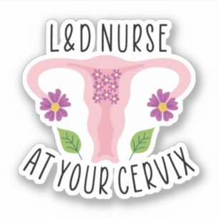 Adesivo Enfermeira L&D no seu Enfermeiro Cervix, Trabalho