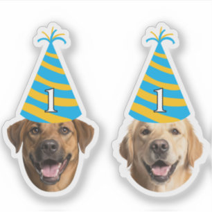 Adesivo Engraçado Cachorro Vestido de Aniversário - Carinh