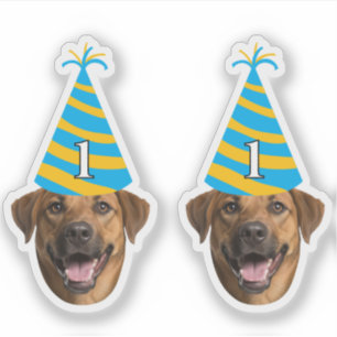 Adesivo Engraçado Cachorro Vestido de Aniversário - Carinh