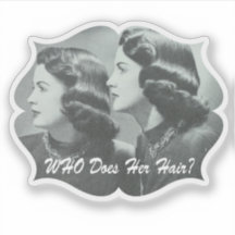 Engraçado Retro Mulheres Salon Stylist