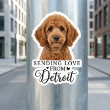 Enviando Amor de Detroit