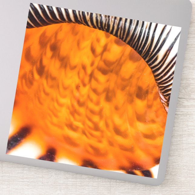 Adesivo Enxertia em rede (Detalhe)