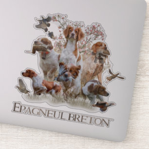 Adesivo Epagneul Breton, Bretanha Spaniel