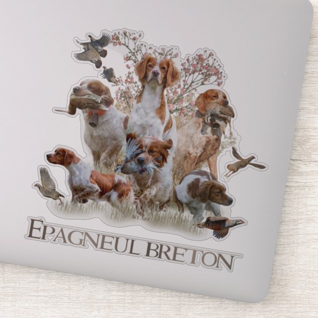Adesivo Epagneul Breton, Bretanha Spaniel (Detalhe)