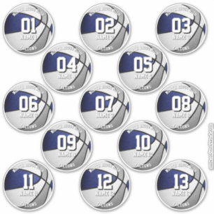 Adesivo equipe da cinza azul cola 13 jogadores de basquete