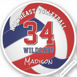 Adesivo equipe de vôlei colorida crianças azul