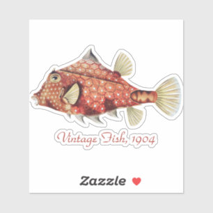Adesivo Ernst Haeckel Peixe-Caixa Vermelho Náutico Vida Ma