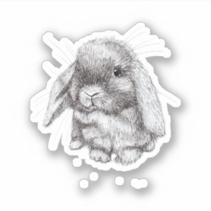 Adesivo Esboço de Coelho Bunny de Orelhas Caídas para Home