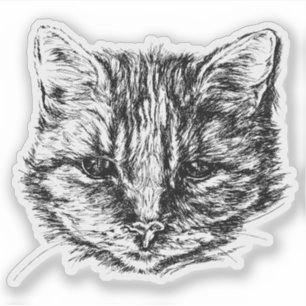 Adesivo Esboço do gato de gato malhado