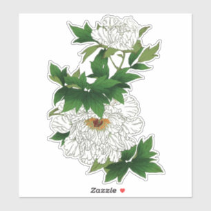 Adesivo Esboço japonês do vintage da grande peônia bran