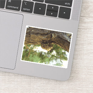 Adesivo Escudo da cigarra. Estava em uma pressa