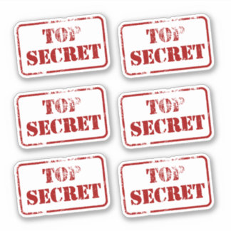 Adesivo Espião Secreto Superior