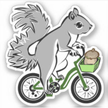 Esquilo Cujo Bicicleta Está