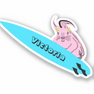 Adesivo Esquilo Malvado #1445 Surfe