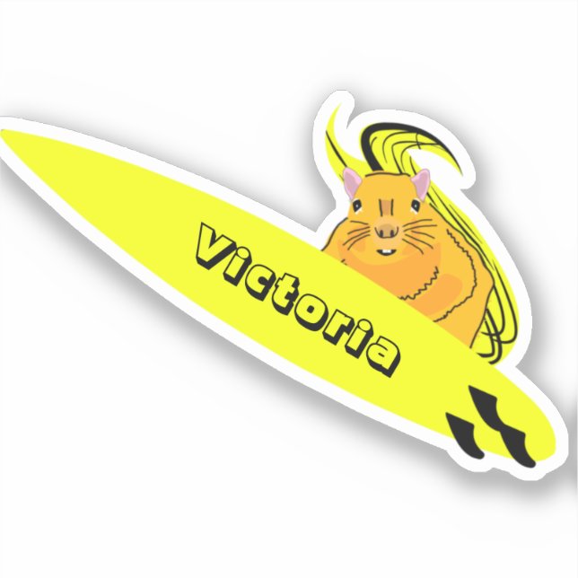 Adesivo Esquilo Malvado #2004 Surfe (Frente)