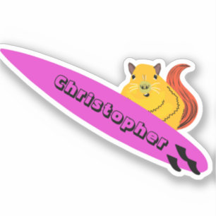 Adesivo Esquilo Malvado #648 Surfe