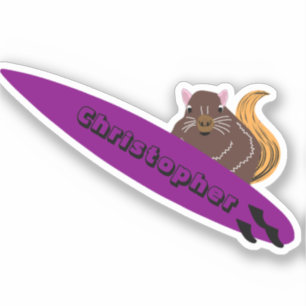 Adesivo Esquilo Malvado #657 Surfe