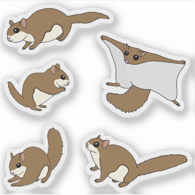 Adesivo Esquilos Voadores (Frente)