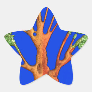 Adesivo Estrela A Acacia Beauty de África: Serengeti Serenity.