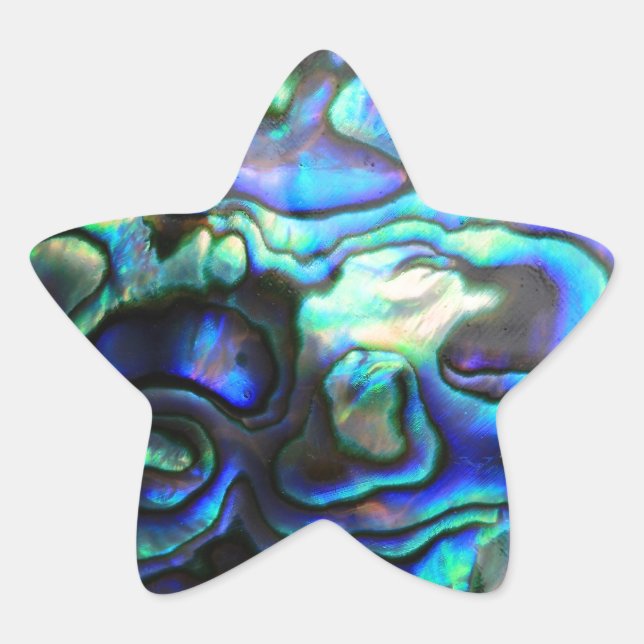 Adesivo Estrela Abalone pausa shell (Frente)
