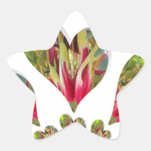 Adesivo Estrela Adorável Dia Humanitário O Mundo Precisa De Lov