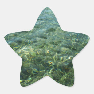 Adesivo Estrela Água sobre Grama Marinha I Natureza Caribenha