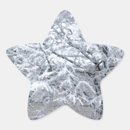 Adesivo Estrela Árvore de Neve