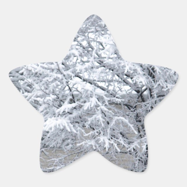 Adesivo Estrela Árvore de Neve (Frente)
