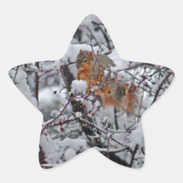 Adesivo Estrela Árvore de Neve de Esquilo