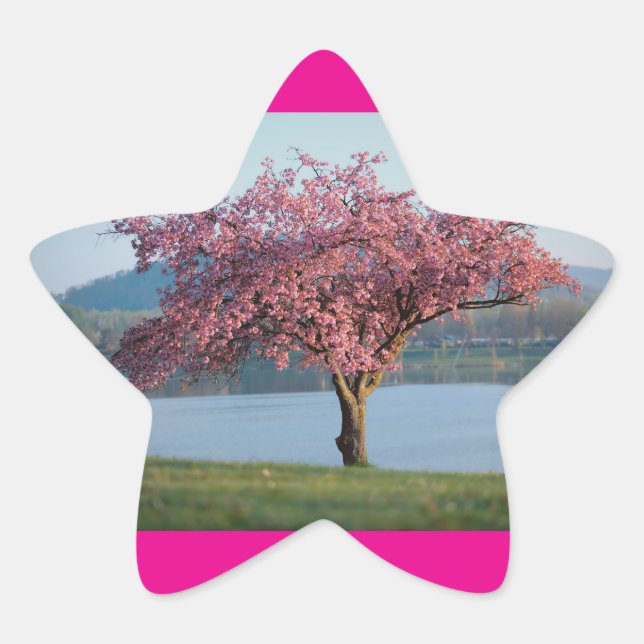 Adesivo Estrela árvores em flor (Frente)