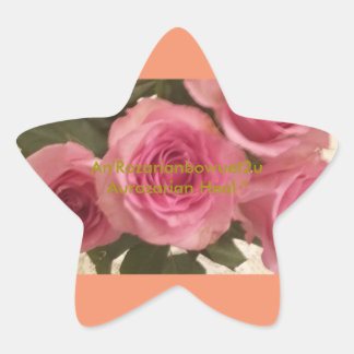 Adesivo Estrela Aurozarian Heal"