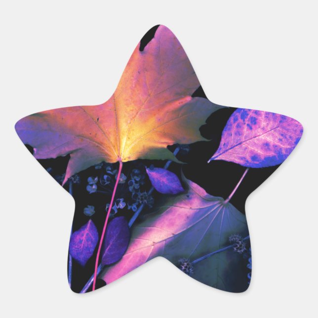 Adesivo Estrela Autumn Leaves em Neon (Frente)