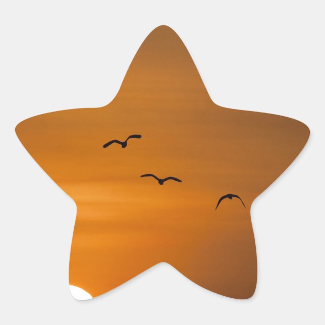 Adesivo Estrela Aves voando no pôr do sol (Frente)