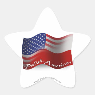 Adesivo Estrela Bandeira de ondulação Polimento-Americana