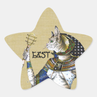 Adesivo Estrela Bast Star Sticker