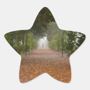 Adesivo Estrela Beco no nevoeiro