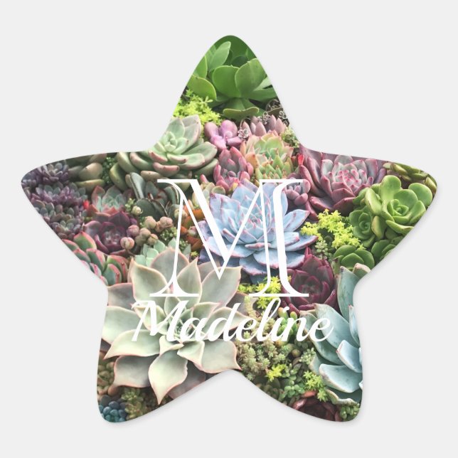 Adesivo Estrela Belos Sucultos (Frente)