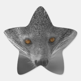Adesivo Estrela Binturong Olhando Para Você