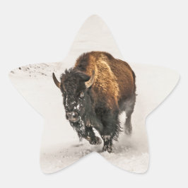 Adesivo Estrela Bison Plodim Através da Neve em Yellowstone