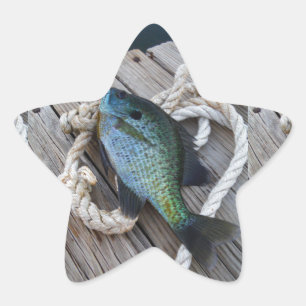 Adesivo Estrela bluegill no doca