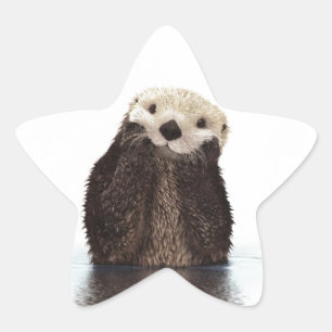 Adesivo Estrela Bonito e adorável animal fofo