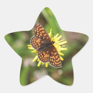 Adesivo Estrela Borboleta - Bonita!