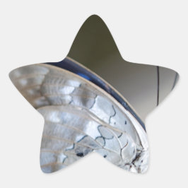 Adesivo Estrela Borboleta Cinza azul