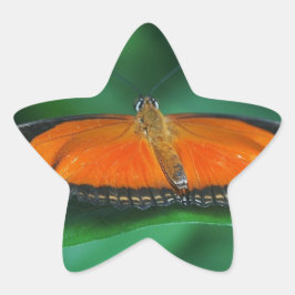 Adesivo Estrela Borboleta laranja brilhante e preta na folha