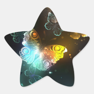 Adesivo Estrela Borboleta Luminosa e borboletas noturnas