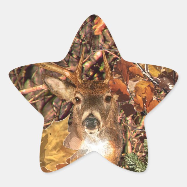 Adesivo Estrela Buck em Hunter Camo White Tail Deer (Frente)