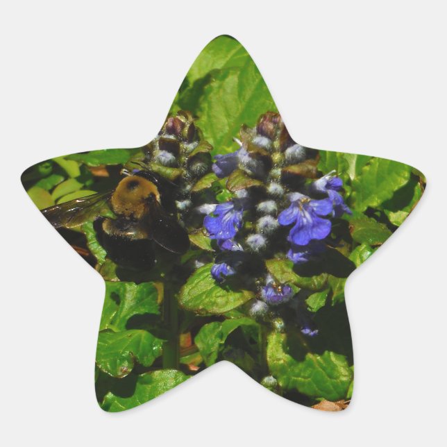 Adesivo Estrela Bumble e Bumble Bee (Frente)